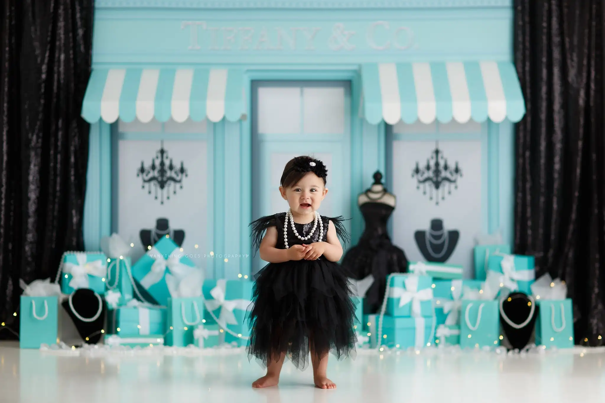 Diamonds Shop Photography Back - Photography Cheat Sheet ulasan dan harga